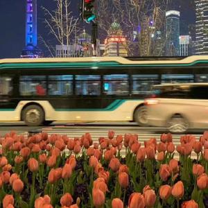 乌克兰性ⅩXXX性无码
